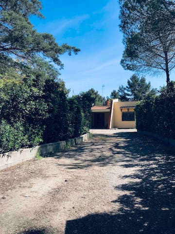 listing_image