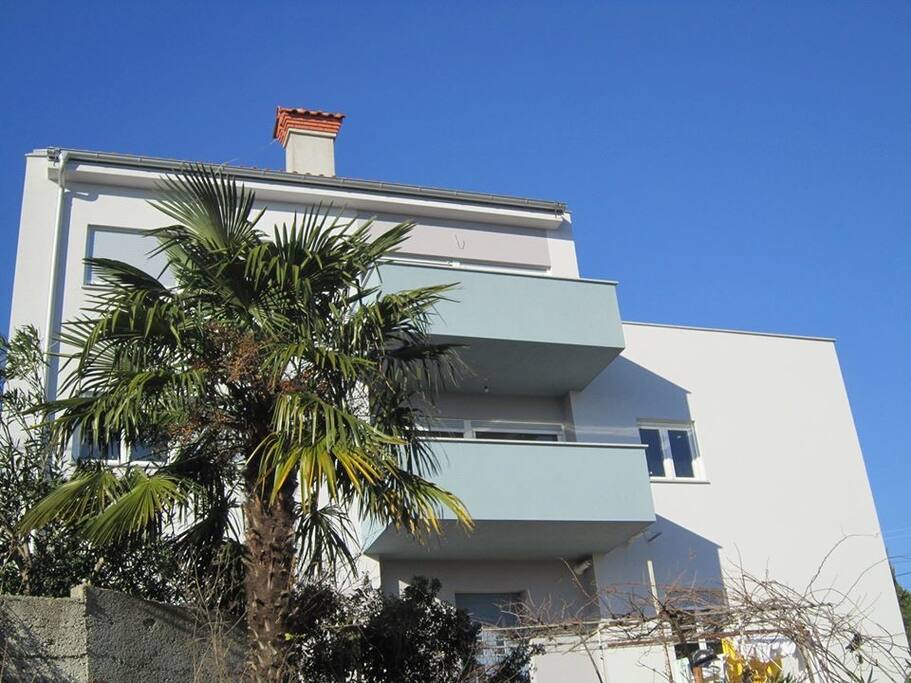 The House