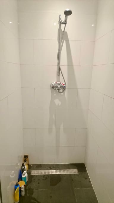 Modern shower has everything you need