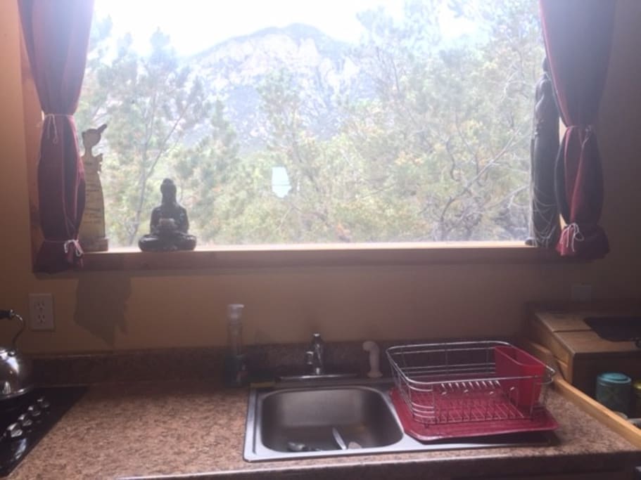 And this is the rest of the view out the kitchen - like living in a tree house!