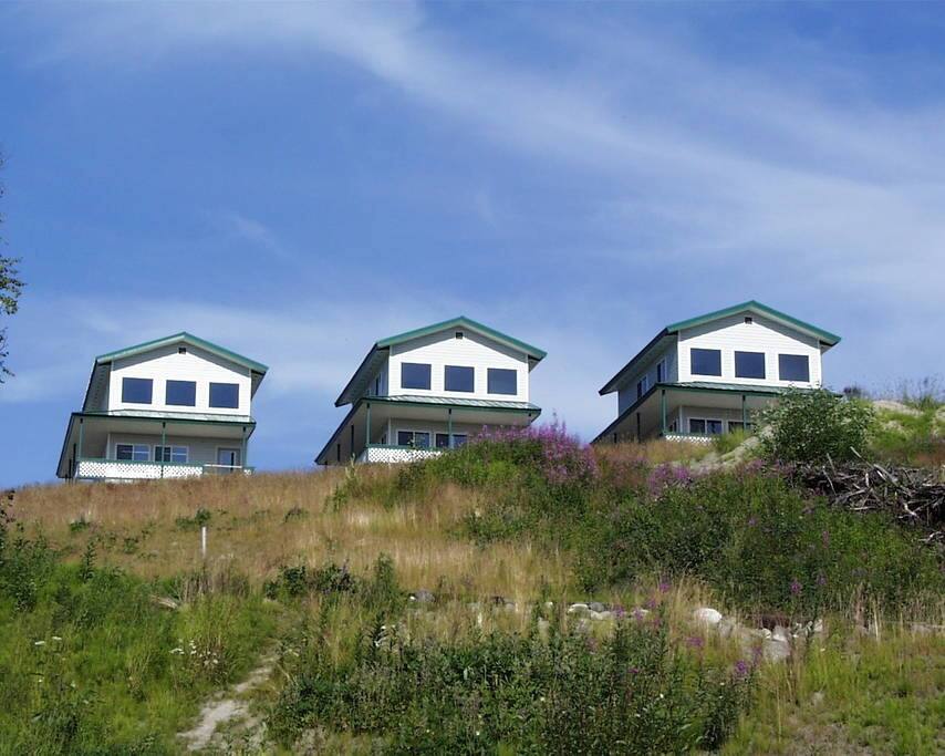 Three luxury cabins at CastAway Riverside on the Kenai River