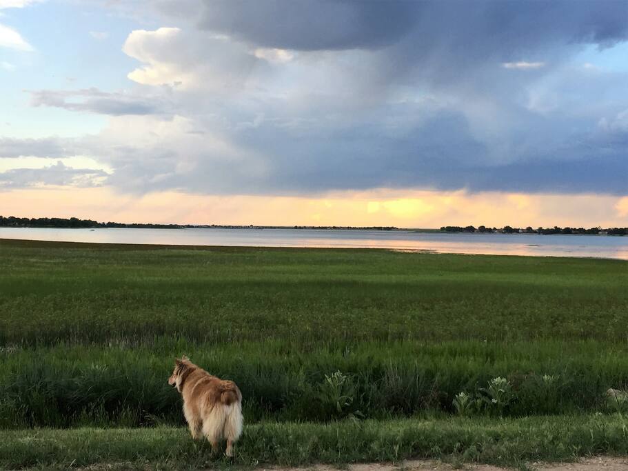 Boyd Lake Open Space