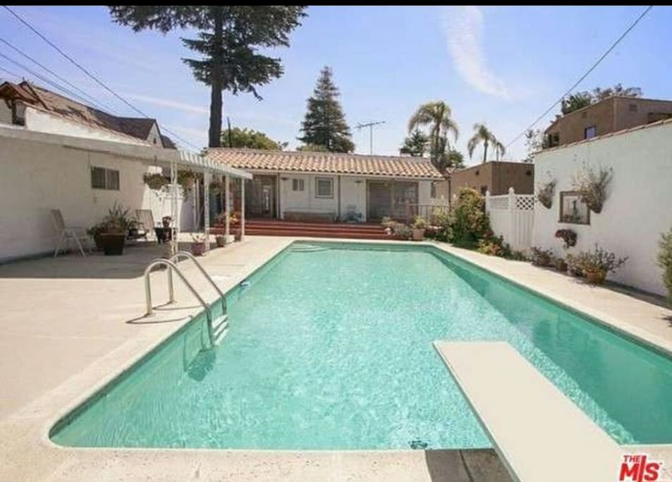 Great Back yard , pool area