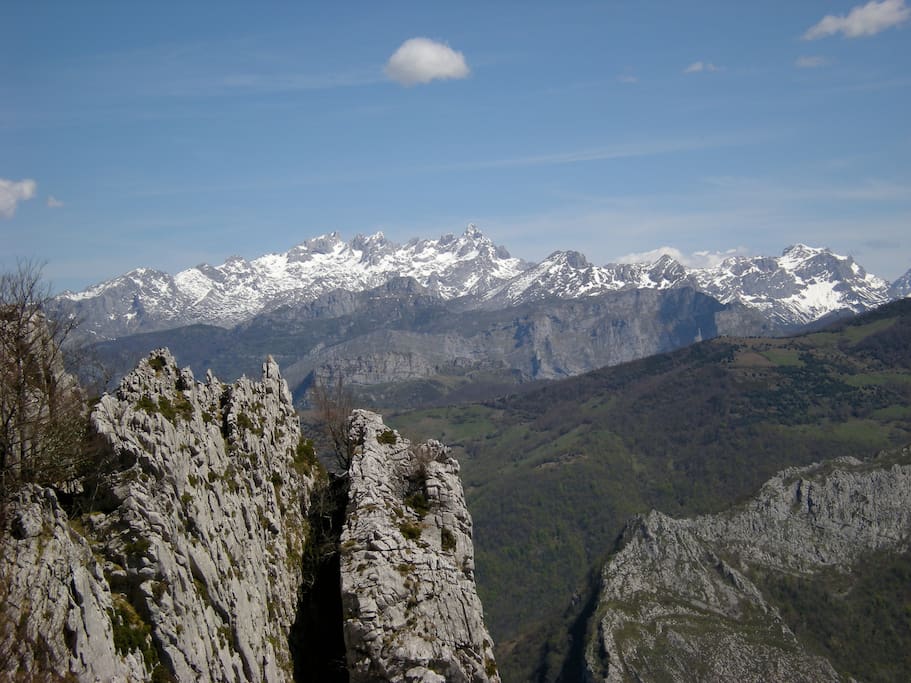 Vista Picos de Europa