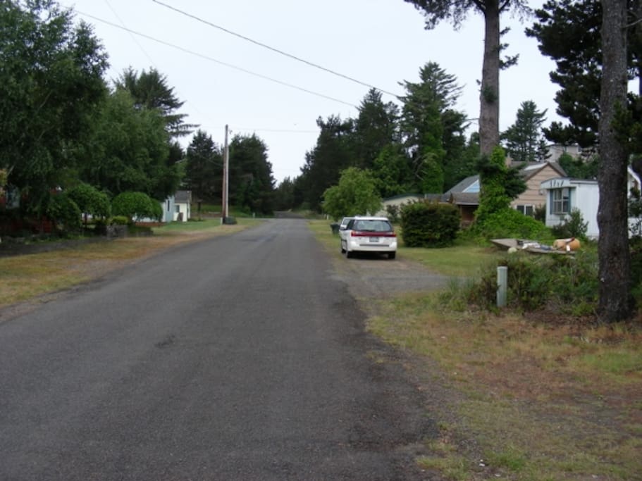 Looking West to Dune Trail