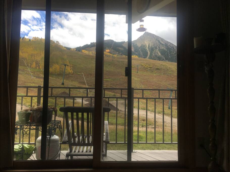Summer view from living room