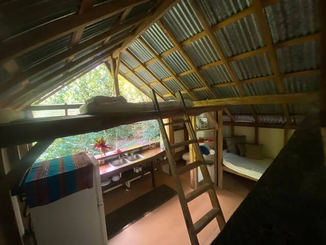 Airbnb Cabo Matapalo Ferienwohnungen Unterkunfte