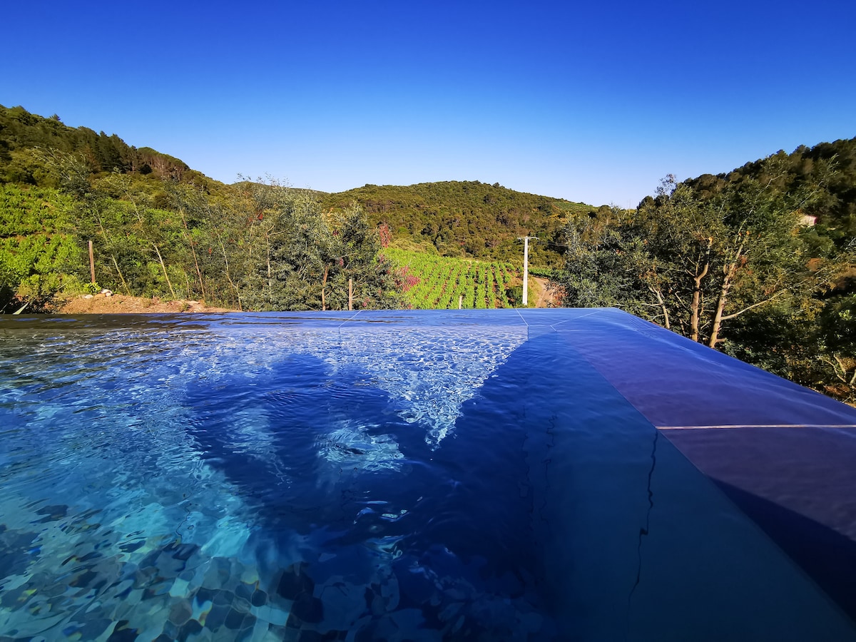 An infinity pool reflects the clear blue sky, offering a scenic view of the surrounding vineyards and lush landscapes. The serene water blends seamlessly into the horizon, creating a tranquil atmosphere. Trees frame the view, enhancing the sense of privacy and peace.