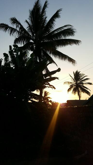 Sunset in my backyard!