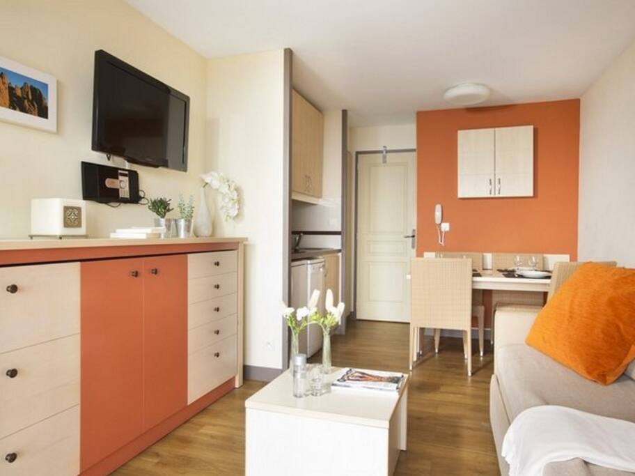 Pièce principale de l'appartement avec un canapé lit, un petit lit sous le canapé lit et un autre petit lit dans le meuble en dessous de la TV