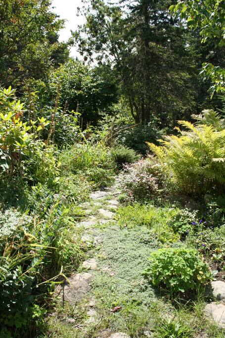 Chemin de roches