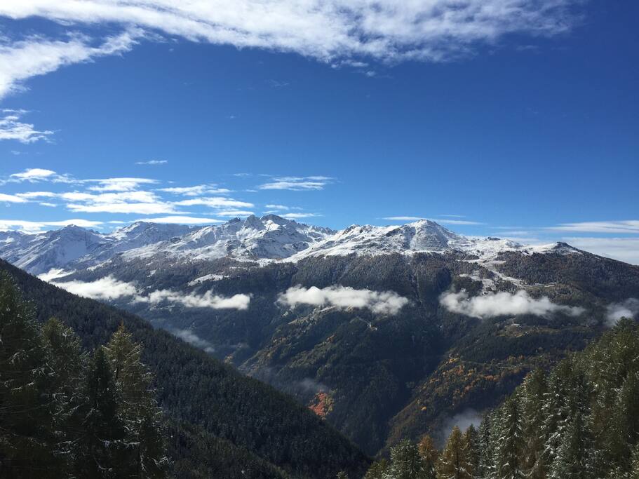 La vue de la terrasse
