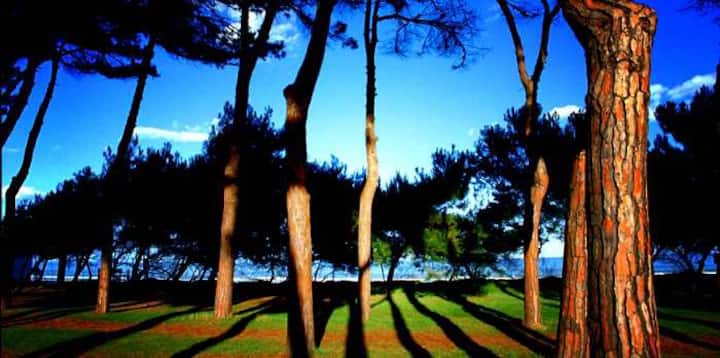 Trilocale A 150 Metri Dalla Spiaggia Attrezzata - Pineto