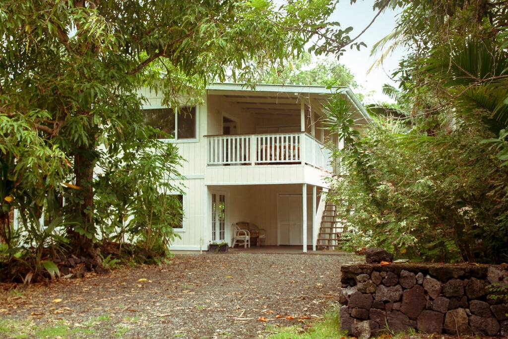 Exterior of home with beautiful mango tree