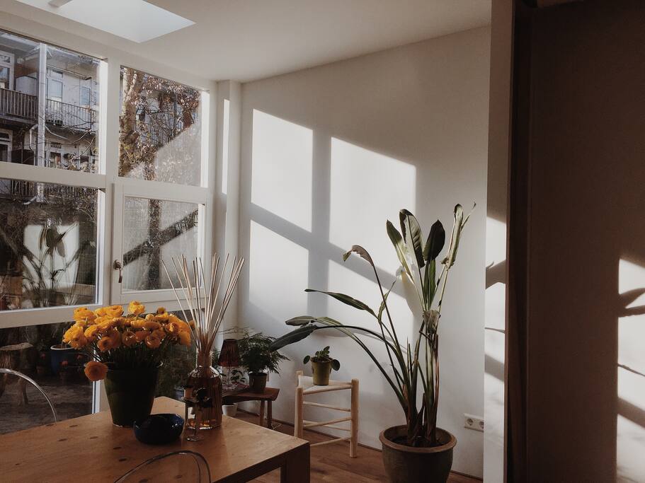 * Newly built extension / living room including dining table with large double doors opening into the garden.