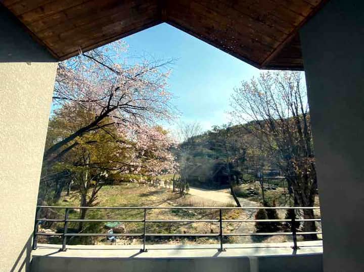 벚꽃뷰