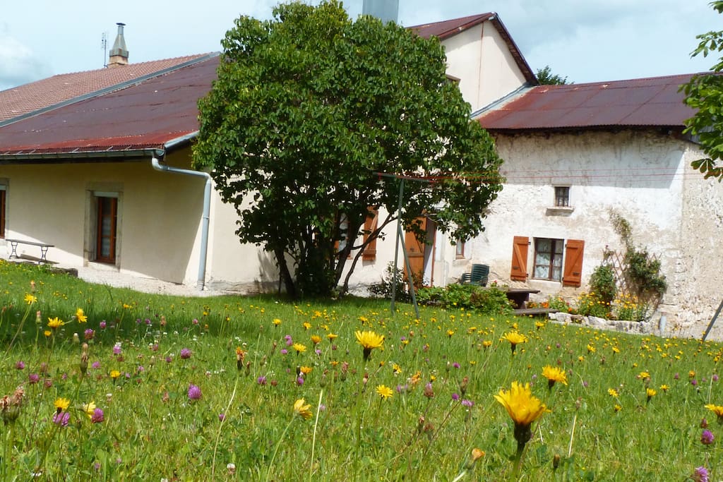 Jardin
