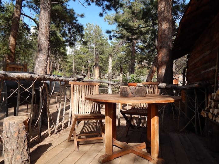 Idlewild Ridge Ranch Historic Cabin Cabins for Rent in Lake