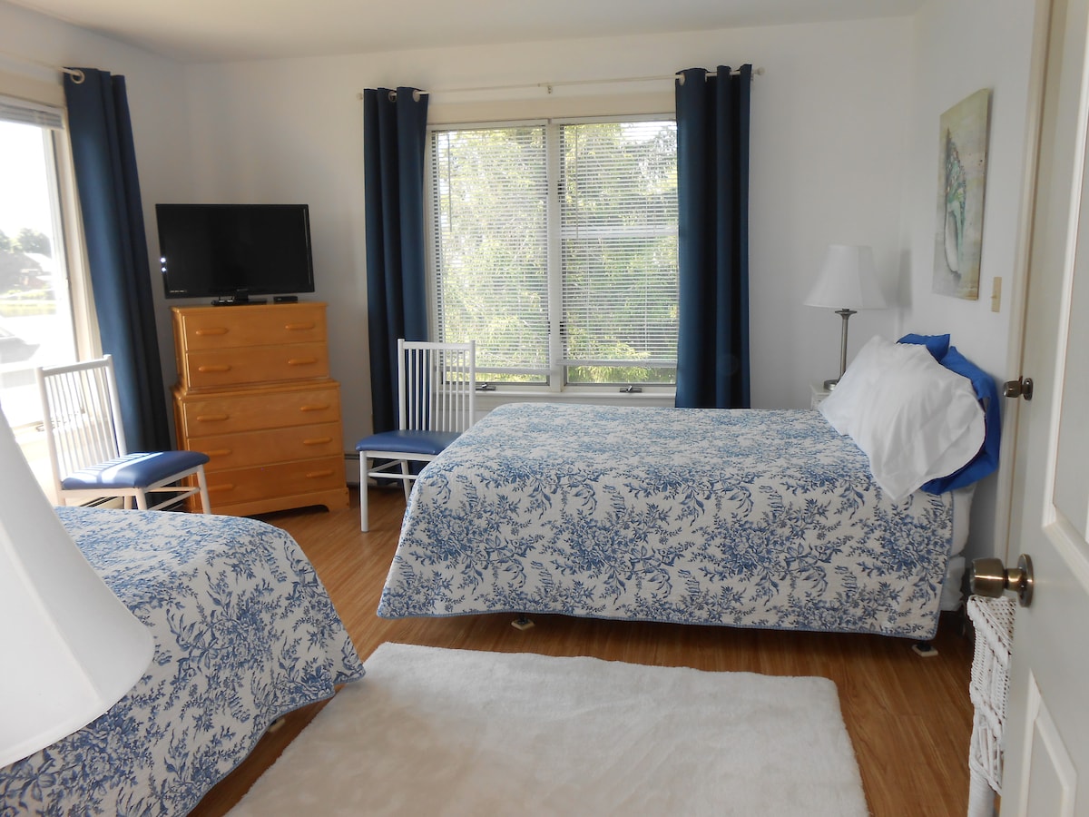 Dy krevate dopio, televizor me ekran të sheshtë, kotësi/tavolinë pune dhe mini-split A/C.