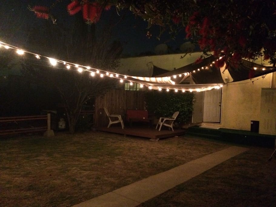 Backyard bubble lights at night