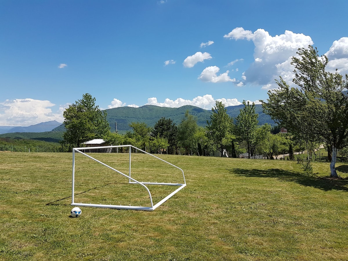 An open grassy area is depicted with a white soccer goal positioned on the left. A soccer ball rests nearby on the ground. Lush trees edge the space, while rolling green hills and a blue sky with scattered clouds create a serene backdrop.