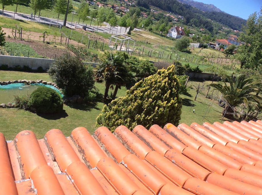 Vista jardim +351919275730