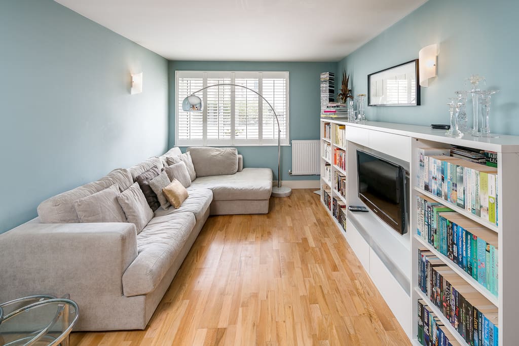 Large light living area with sofa bed