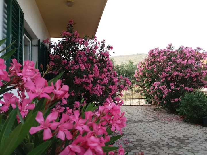 Apartments Dalmatia A4 - Primošten
