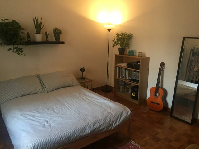 Spaziosa camera singola