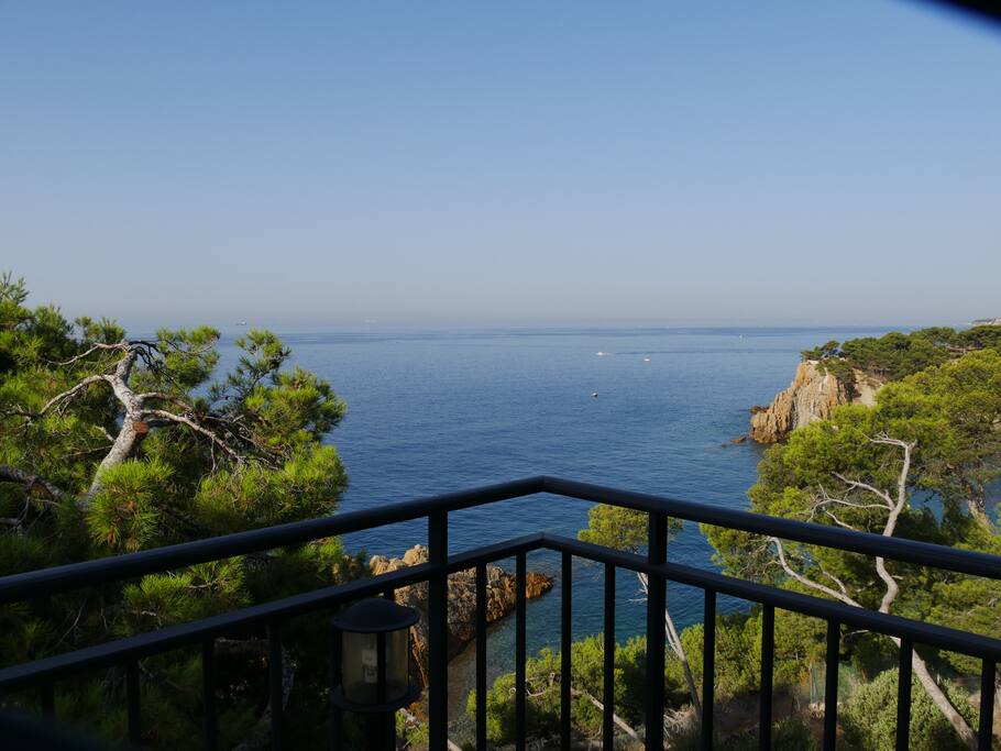 Vue depuis la terrasse
