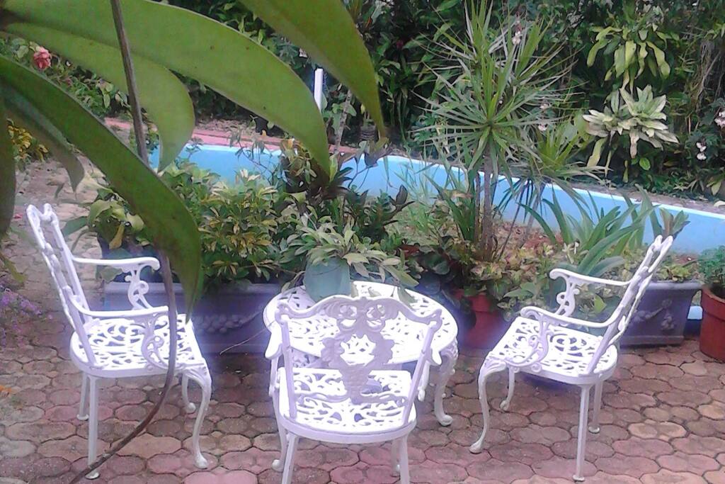 Garden Patio