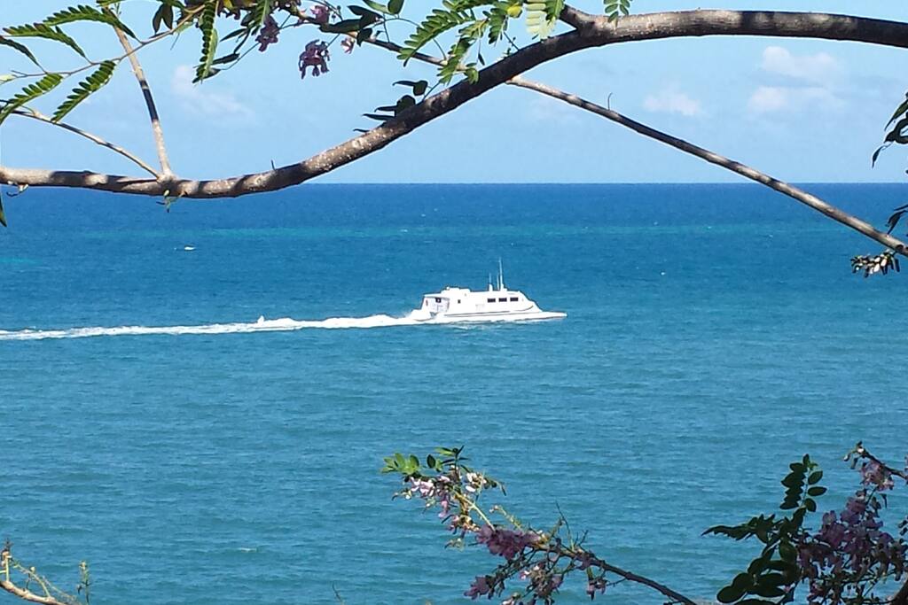 Arrival of Catamaran