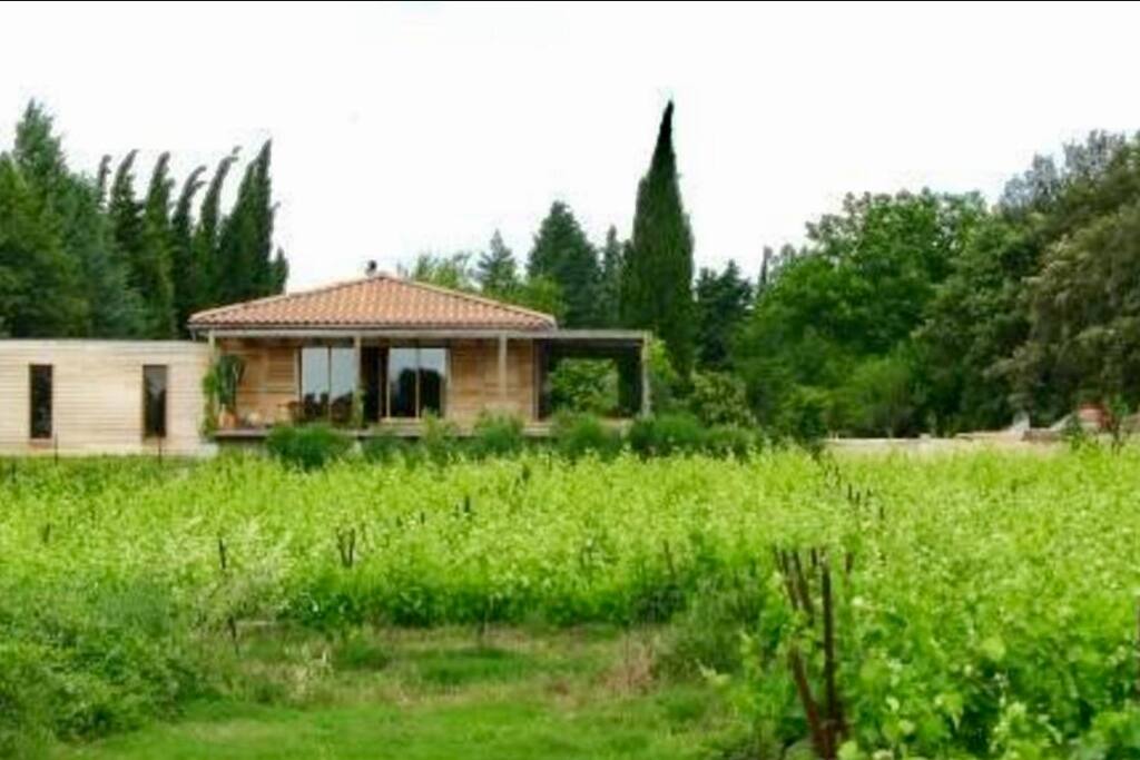 Maison dans les vignes au bord de la garrigue avec vue sur les cevennes .