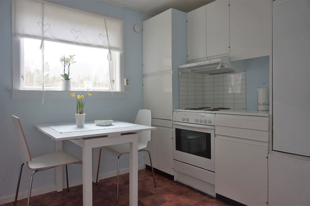 The fully equipped kitchen