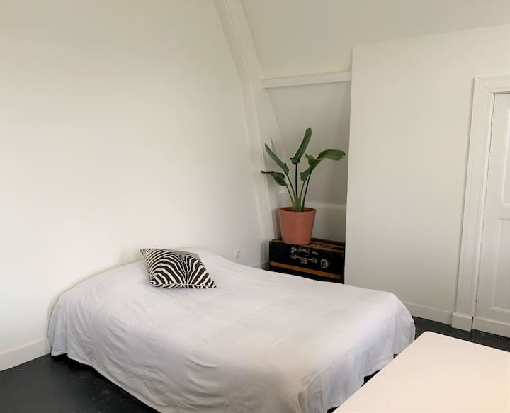 额外的沙发。办公室有双人床