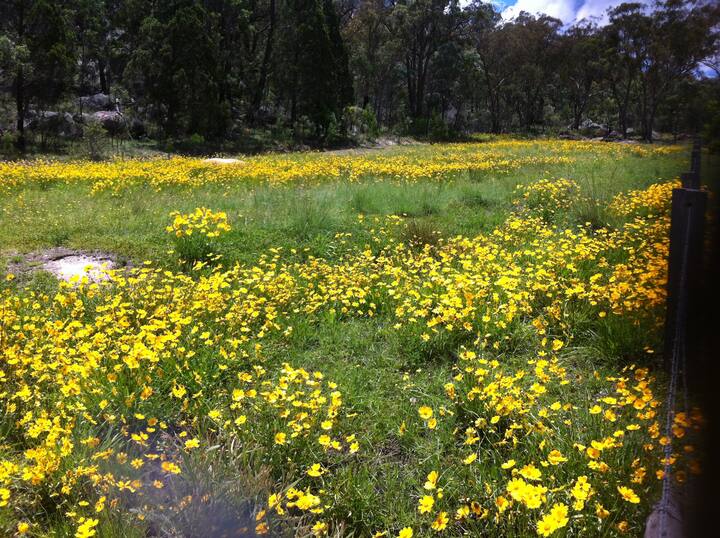 Stanthorpe Holiday House for rent Cottages for Rent in Stanthorpe