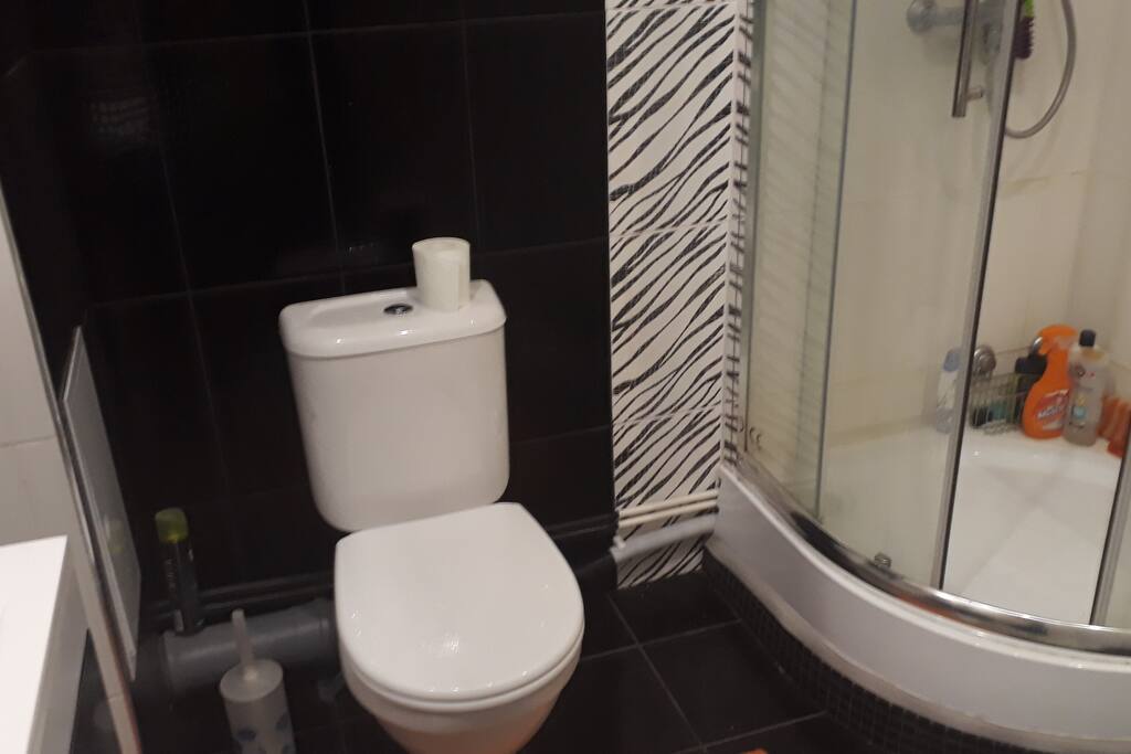 shower and toilet