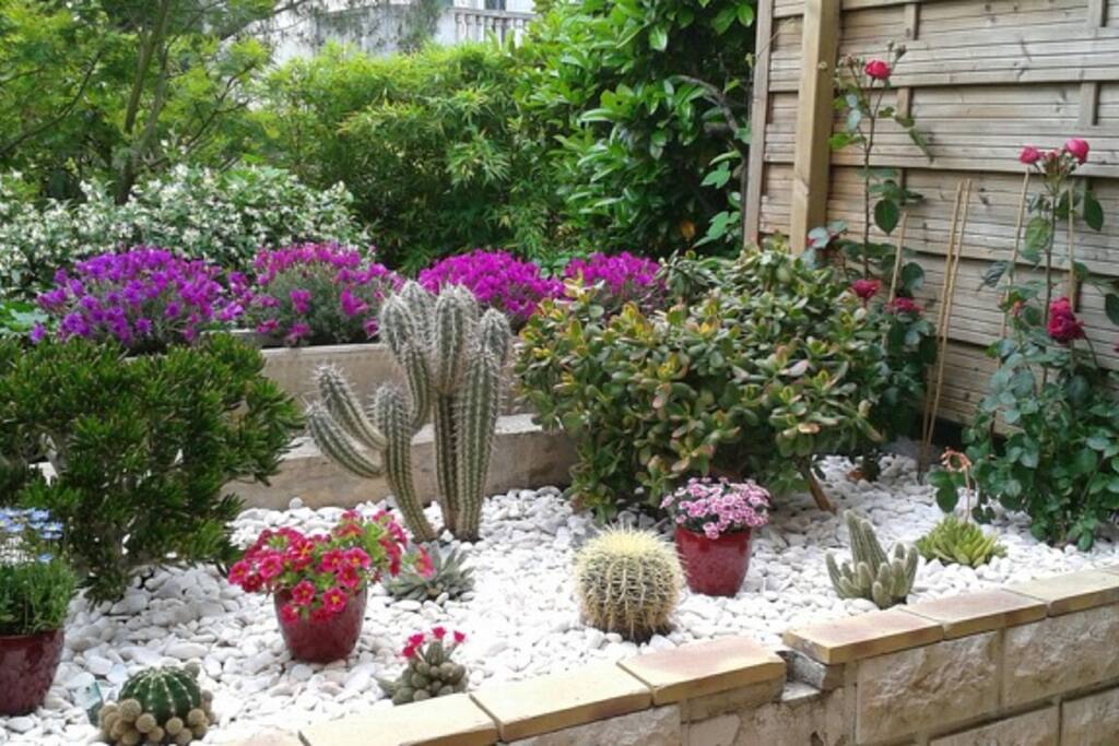 The nice garden
