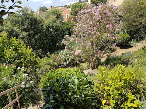 Idéal 2 golfeurs, ou voyageurs (2)