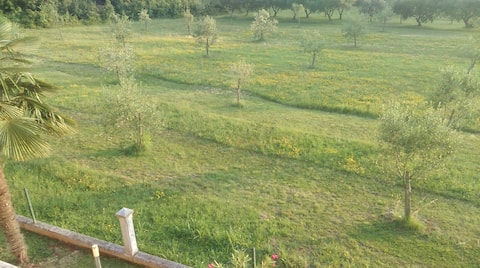Top Airbnb: Cosy apartment with lovely olive orchard view in Đuba