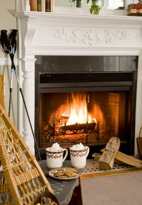 Guest room with fireplace