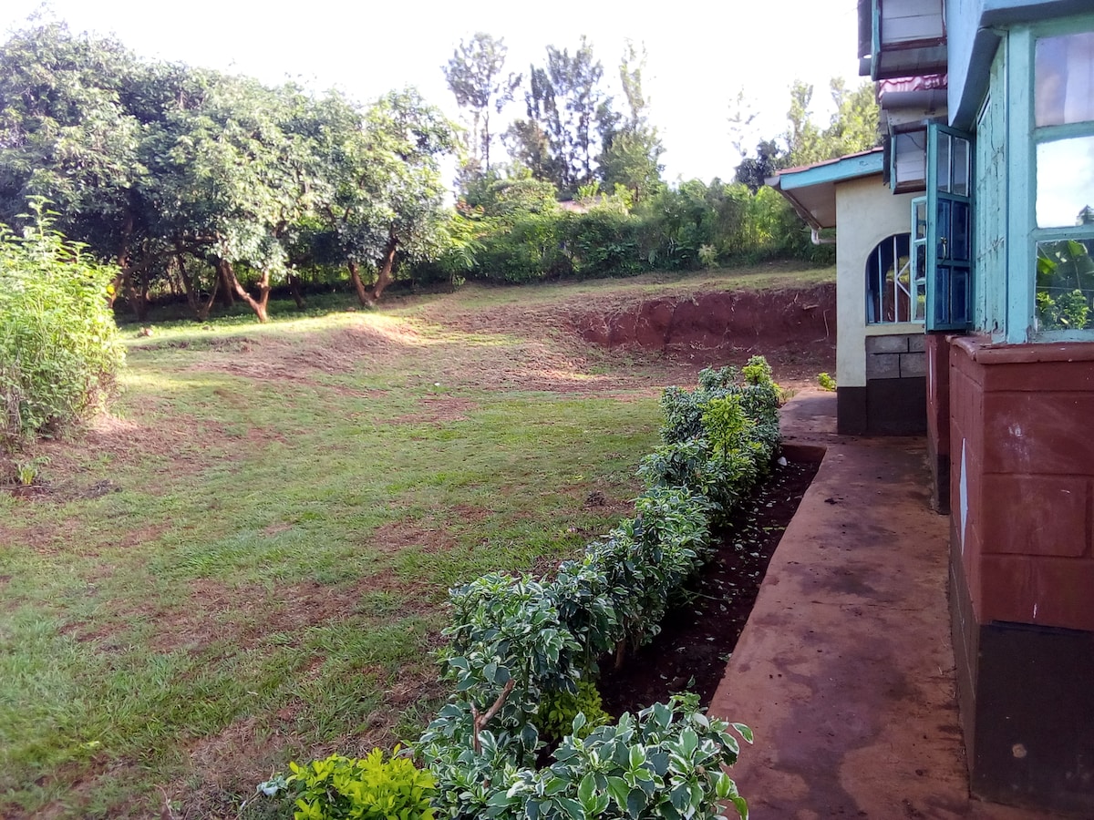 A well-maintained outdoor area is depicted, featuring a lush green lawn bordered by neatly arranged shrubs. The scene includes sprawling trees in the background, providing a natural setting that complements the nearby building.