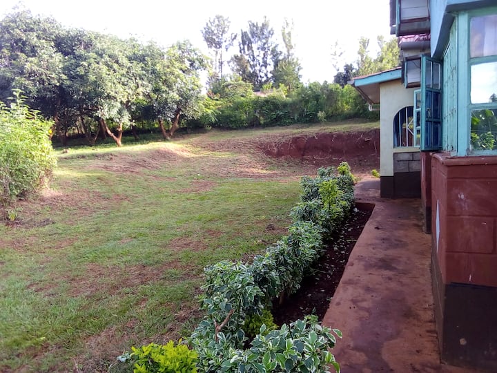 Picha ya miti,nyasi,ndege,mwanga wa jua, mwonekano wa ariel 1