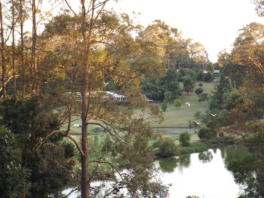 View of the lake from the house