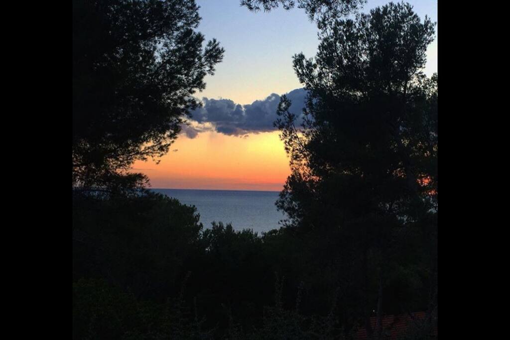 Sunset from the Terraces