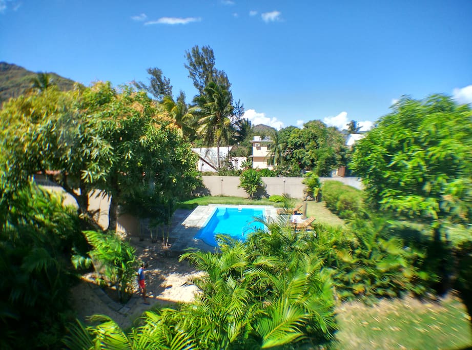Pool & Garden