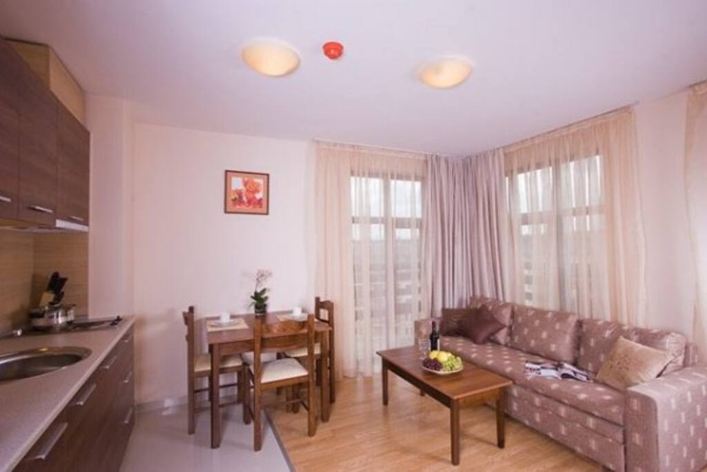 Livingroom and kitchen