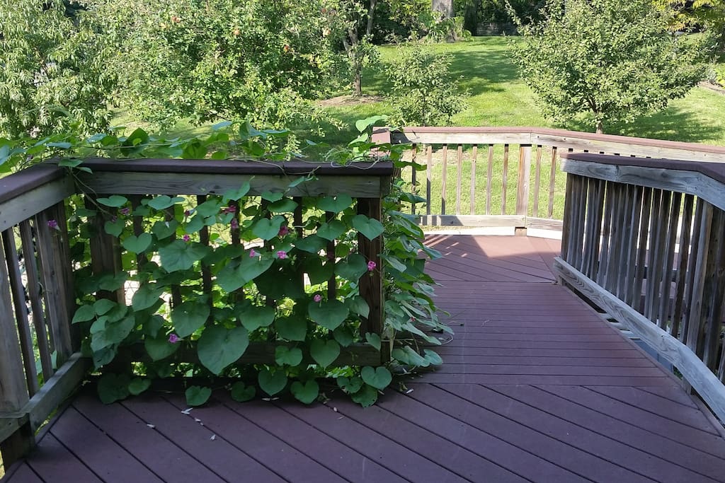 View from the front door of ramp entry