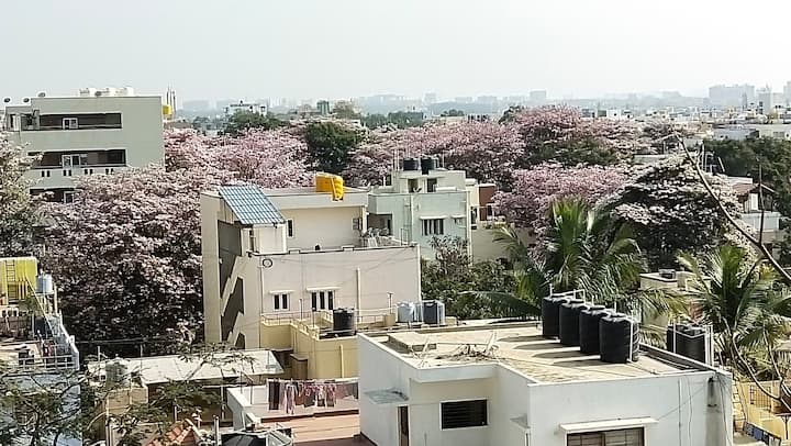 Whitefield, Bengaluru Holiday Rentals & Homes - Bengaluru, India | Airbnb