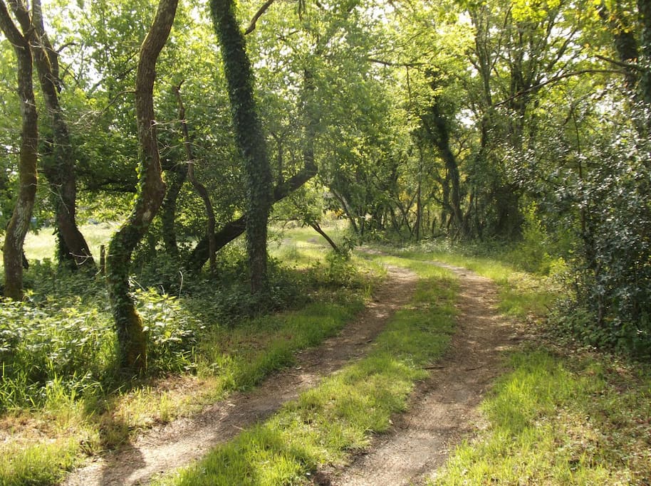 chemin d'accés